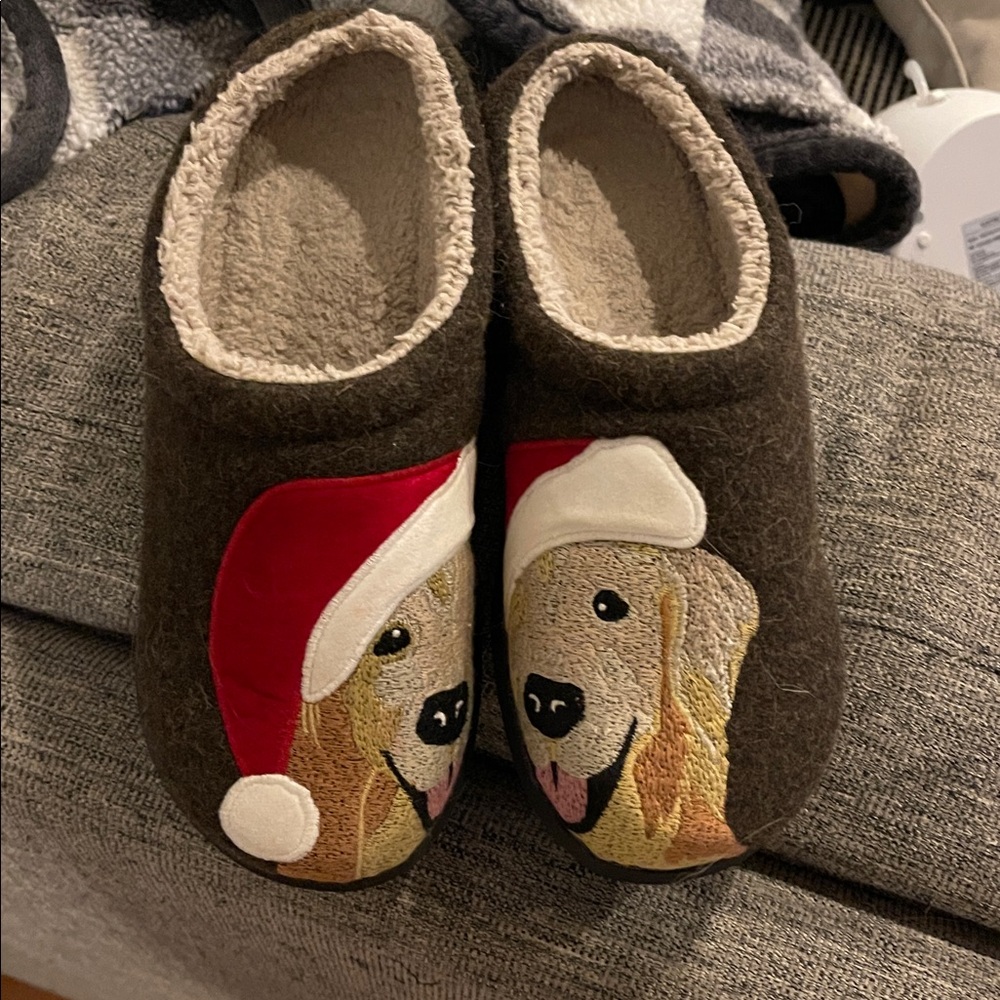 Dog Slippers with Santa Hat